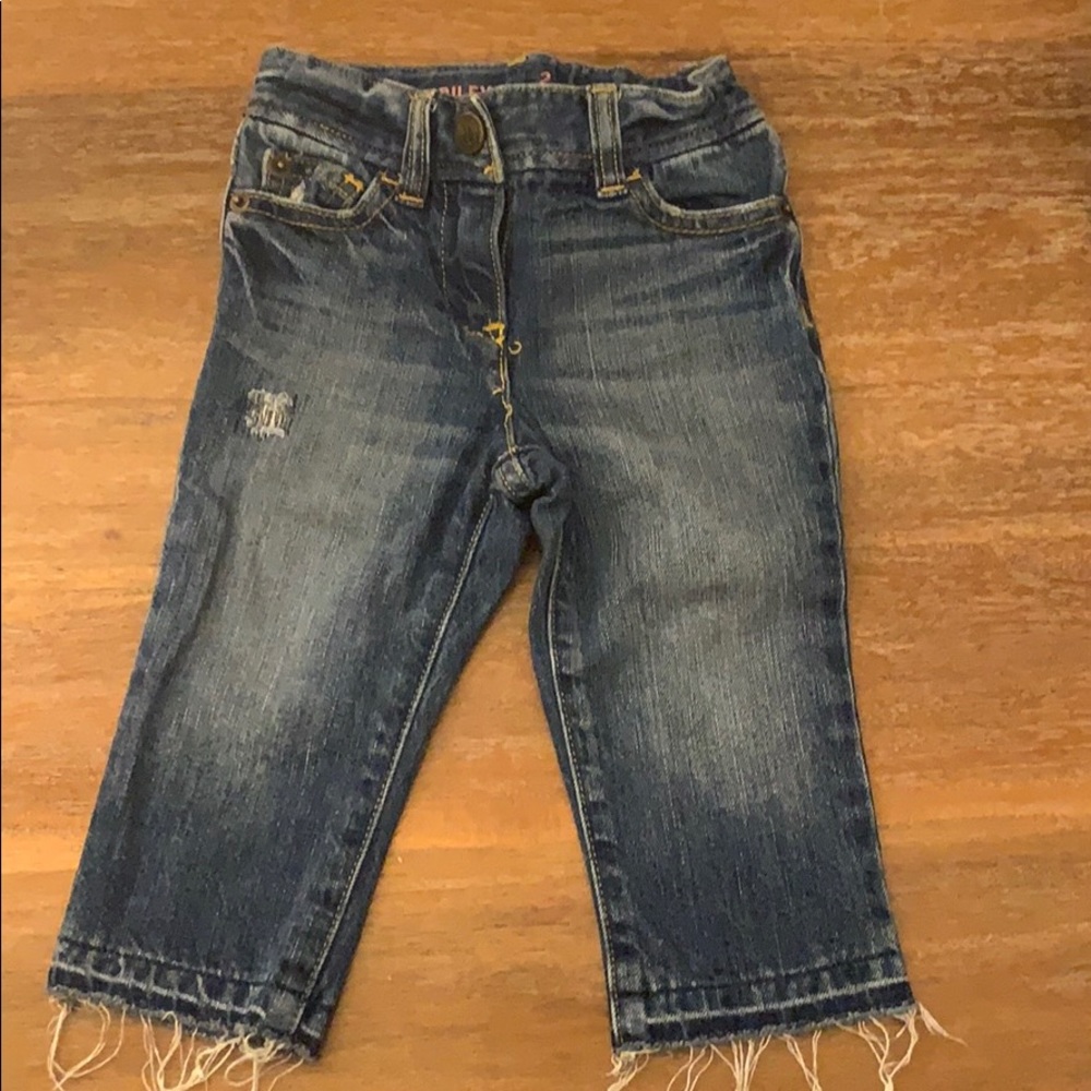 Crew Cuts Cropped Rileys